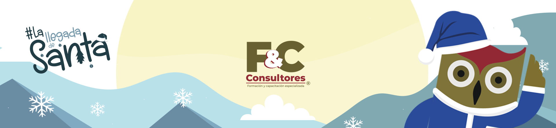 F&C Consultores