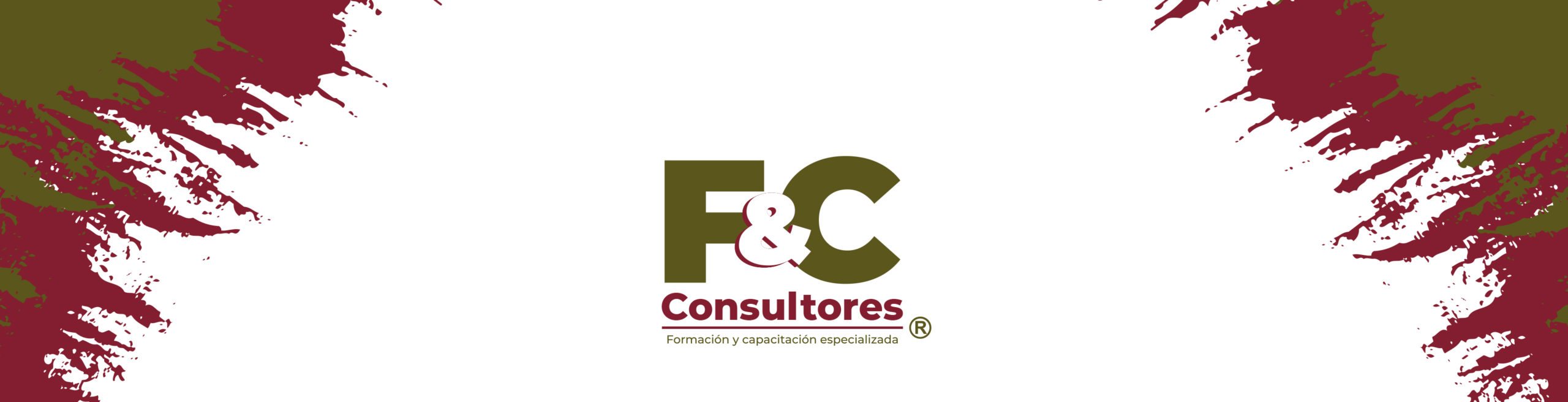 F&C Consultores